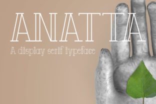 Font Choice That Matters: Why I Chose Anatta for My Coaching Website
