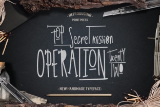 Operation 22